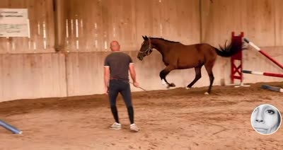 LENSORCELEUSE PHANTOM