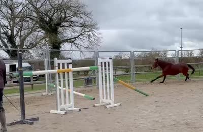 MOULIN ROUGE PHANTOM