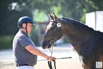 MAYSHEBBER DU ROQUET