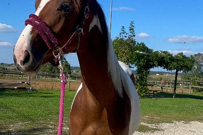 NALA DE HIEGE
