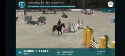 ICARUS DE LA NEE