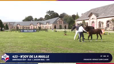 Miniature vidéo