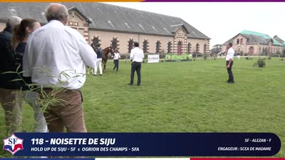 Miniature vidéo