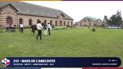 Miniature vidéo