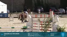 Miniature vidéo