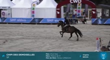 Miniature vidéo