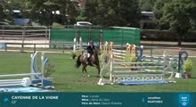 Miniature vidéo
