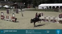 Miniature vidéo
