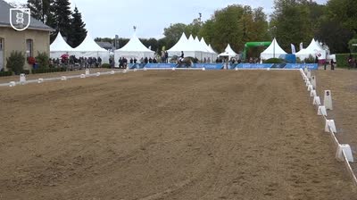 Miniature vidéo