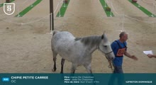 Miniature vidéo