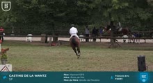 Miniature vidéo