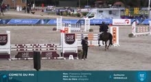 Miniature vidéo