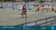 Miniature vidéo