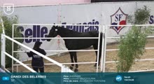 Miniature vidéo