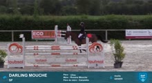 Miniature vidéo