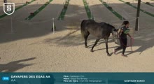 Miniature vidéo