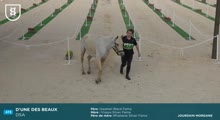 Miniature vidéo