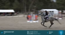 Miniature vidéo