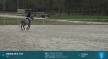 Miniature vidéo
