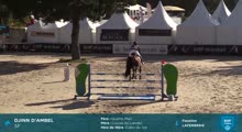 Miniature vidéo