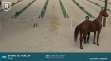 Miniature vidéo