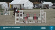 Miniature vidéo