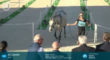 Miniature vidéo
