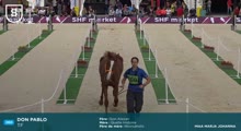 Miniature vidéo
