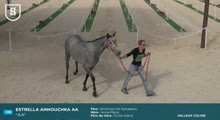 Miniature vidéo