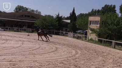 Miniature vidéo