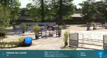 Miniature vidéo