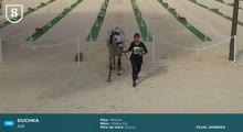 Miniature vidéo