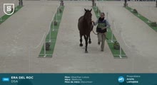 Miniature vidéo