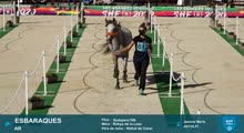 Miniature vidéo