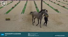 Miniature vidéo