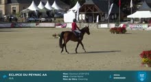 Miniature vidéo