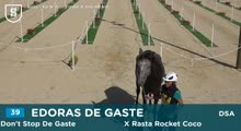 Miniature vidéo
