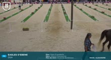 Miniature vidéo