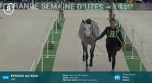 Miniature vidéo