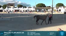 Miniature vidéo