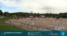 Miniature vidéo