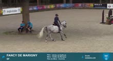 Miniature vidéo