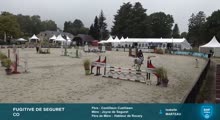 Miniature vidéo