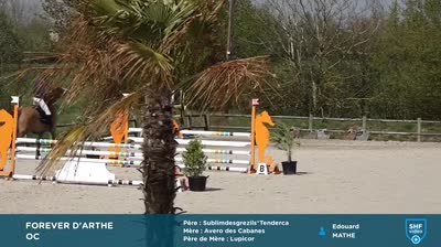 Miniature vidéo