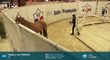 Miniature vidéo