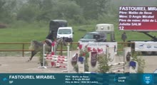 Miniature vidéo