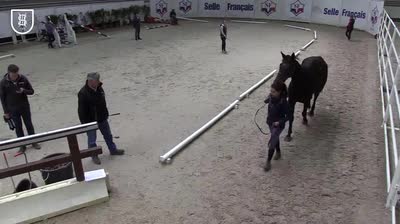 Miniature vidéo