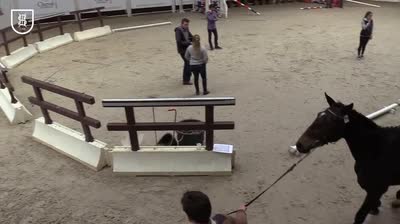 Miniature vidéo