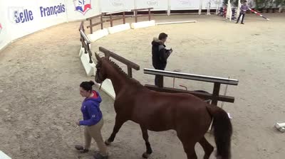Miniature vidéo