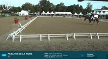 Miniature vidéo